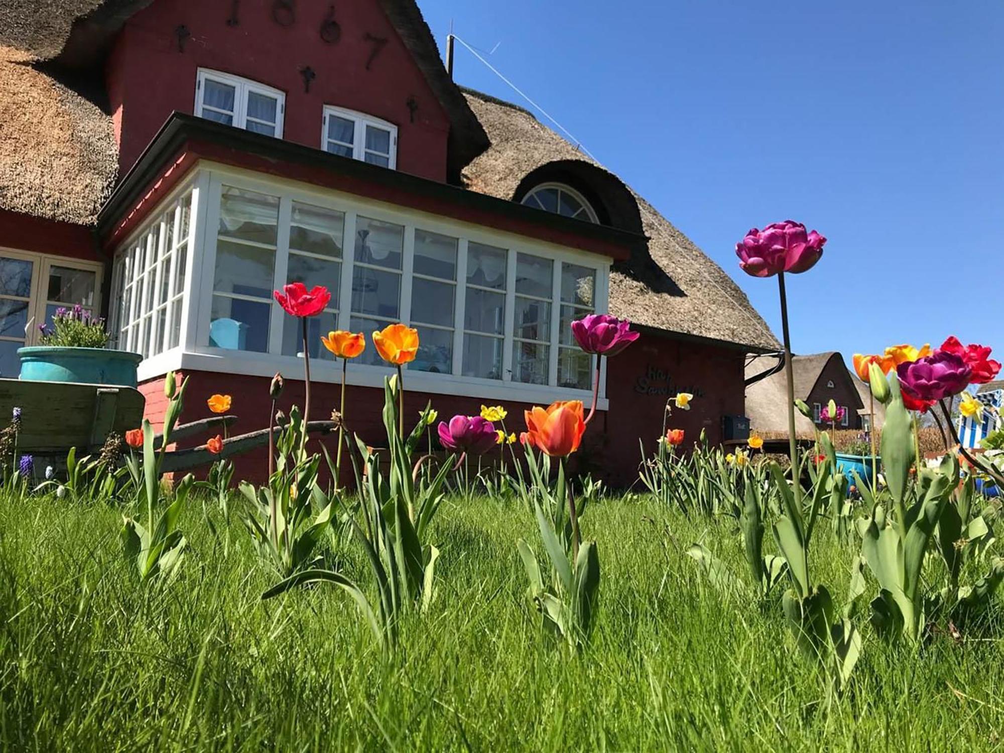 Hues Sanskiin Ferienwohnung *Driiwholt* Suddorf Zewnętrze zdjęcie